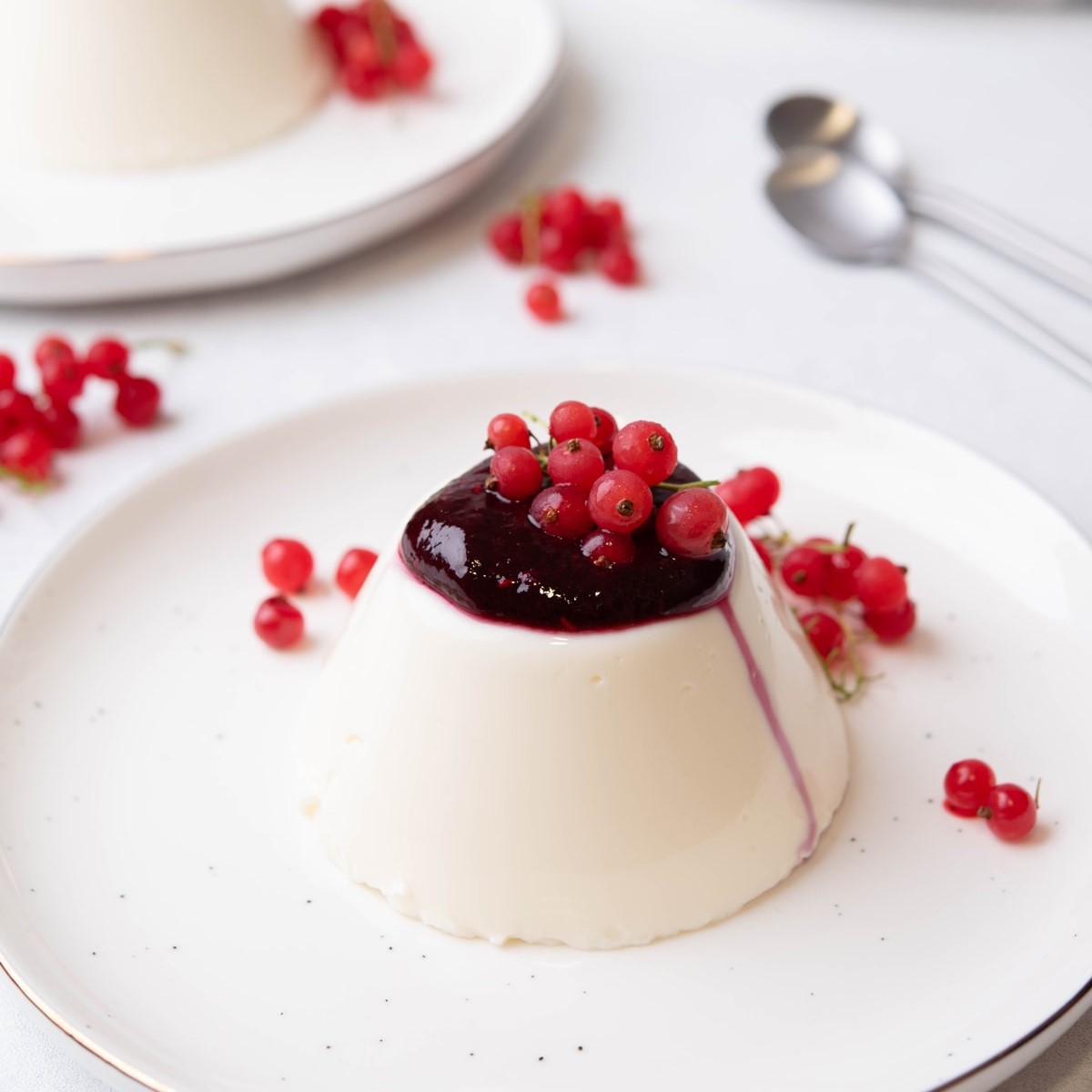 Close up shot of panna cotta topped with red currant